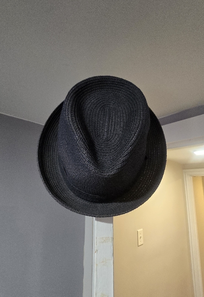 Fedora hat